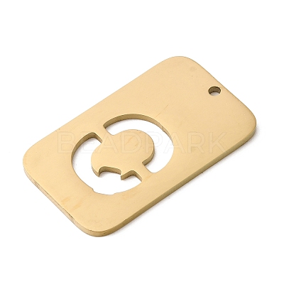 304 Stainless Steel Pendants STAS-D200-01Q-G-1