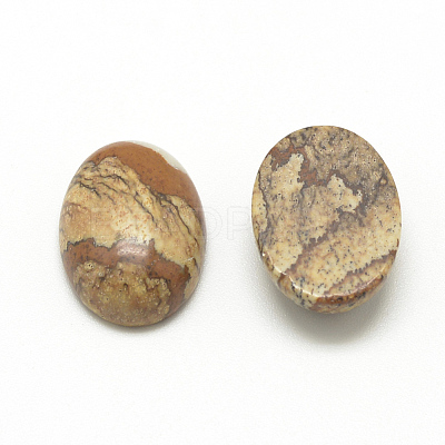 Natural Picture Jasper Cabochons X-G-R415-13x18-42-1