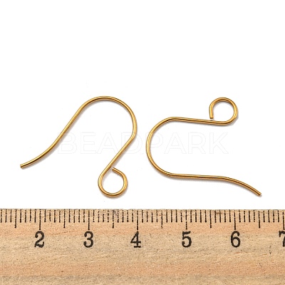 316 Stainless Steel French Earring Hooks JX138G-01-1