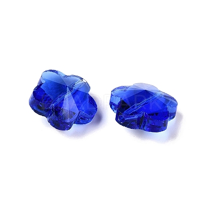 Transparent Glass Beads GLAA-Q066-14mm-C07-1