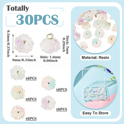 30Pcs 5 Colors Two-tone Resin Charms RESI-TA0005-71-1