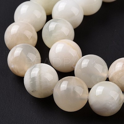 Natural White Moonstone Beads Strands G-F674-08-10mm-01-1