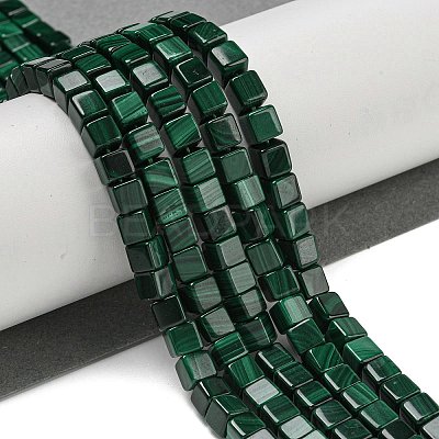Natural Malachlite Beads Strands G-Q185-A02-01-1