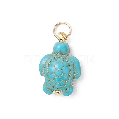 6Pcs 2 Colors Dyed Synthetic Turquoise Pendants PALLOY-JF05173-01-1
