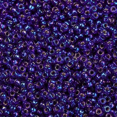 MIYUKI Round Rocailles Beads X-SEED-G009-RR1020-1