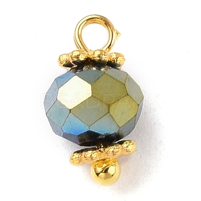 Handmade Electroplate Glass Beads Charms PALLOY-JF00530-1