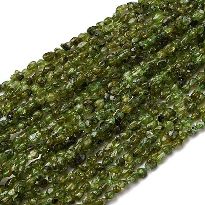 Natural Peridot Beads Strands G-I389-A27-1