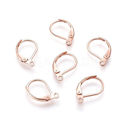 304 Stainless Steel Leverback Earring Findings X-STAS-P166-12RG-1
