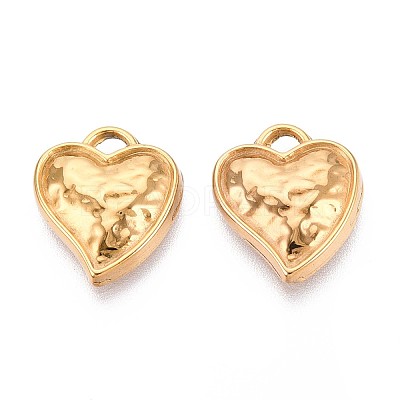 304 Stainless Steel Pendants STAS-T065-25G-1