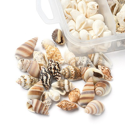 5 Styles Mixed Natural Shell Beads SSHEL-YW0001-03-1