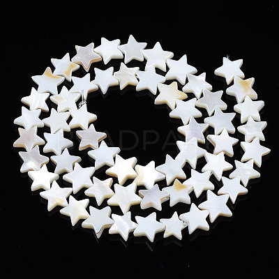 Natural Freshwater Shell Beads Strands X-SHEL-S278-01B-01-1