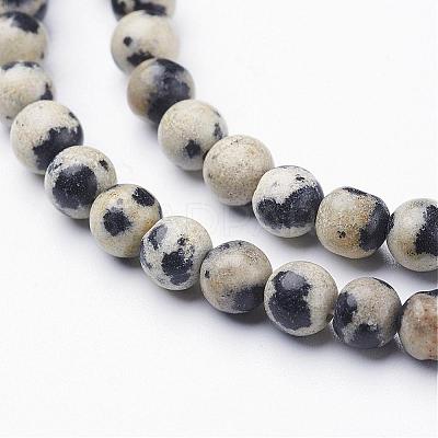 Natural Dalmatian Jasper Beads Strands GSR4mmC004-1