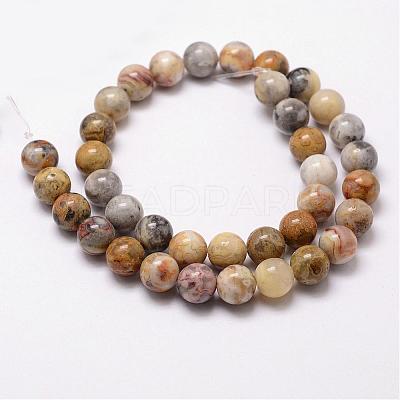 Natural Crazy Lace Agate Beads Strands G-D840-70-8mm-1