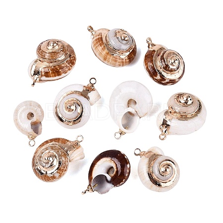 Electroplate Natural Spiral Shell Pendants SSHEL-Q100-34G-1