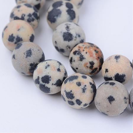 Natural Dalmatian Jasper Beads Strands G-Q462-10mm-05-1
