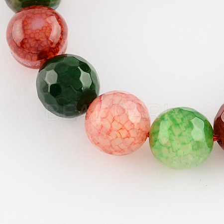 Dyed Natural Multi-Color Agate Beads Strands G-R177-6mm-04-1