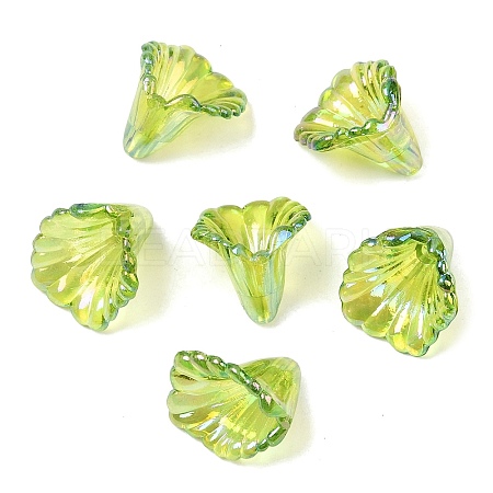 Transparent Acrylic Bead Caps OACR-G054-03J-1