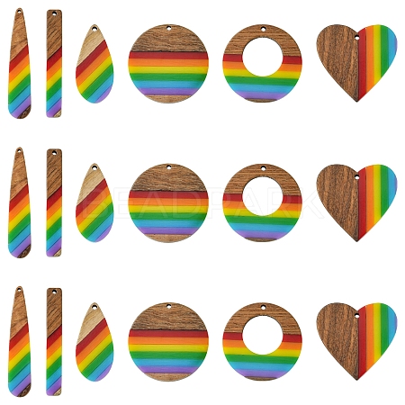 12Pcs 6 Styles Pride Rainbow Theme Resin & Walnut Wood Pendants WOOD-FS0001-32-1