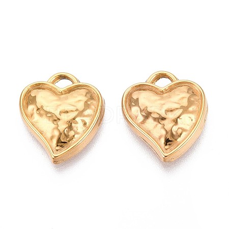 304 Stainless Steel Pendants STAS-T065-25G-1