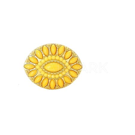 Horse Eye Alloy Plastic Rhinestone Brooch PW-WGBF0C2-02-1
