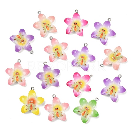 Resin Pendants RESI-I347-04P-01-1