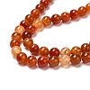 Natural Crackle Agate Bead Strands G-K166-10-6mm-01-3