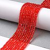 Transparent Glass Beads Strands GLAA-H021-04-25-3