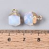 Opalite Pendants G-N359-18G-22-3