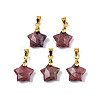 Natural Rhodonite Charms G-N326-142-05-2