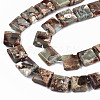 Natural Aqua Terra Jasper Beads Strands G-S366-018B-3
