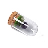 Natural Mixed Stone Mushroom Display Decoration with Glass Dome Cloche Cover G-E588-03-3