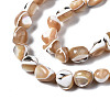 Natural Trochid Shell/Trochus Shell Beads Strands SSHEL-S266-015B-3