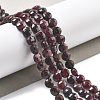 Natural Garnet Beads Strands G-C179-A25-01-1