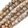 Natural Feldspar Beads Strands G-S259-26-6mm-5