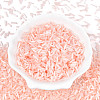 Glass Bugle Beads SEED-N007-28O-2