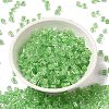 Glass Seed Beads X1-SEED-H002-F-1111-2