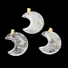 Natural Quartz Crystal Pendants X-G-A297-02G-12-1