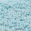 Macaron Color Opaque Frosted Glass Seed Beads X1-SEED-K009-12B-11-3
