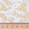 MIYUKI Round Rocailles Beads SEED-X0055-RR0202-4