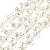 Transparent Electroplate Glass Beads Strands EGLA-F152A-FR04-1