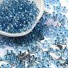 Glass Seed Beads SEED-H002-C-A046-1