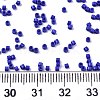 FGB 11/0 Grade A Glass Seed Beads SEED-S030-1024-4