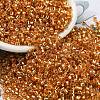Glass Seed Beads SEED-S042-04A-11-1