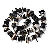 Natural Black Lip Shell Beads Strands SSHEL-S266-010-2