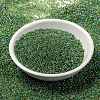 MIYUKI Round Rocailles Beads SEED-G009-RR0341-2
