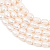 Natural Cultured Freshwater Pearl Beads Strands PEAR-D003-01D-06-4