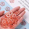 Transparent Acrylic Bead Frames TACR-S154-29B-52-5