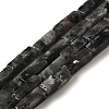 Natural Larvikite Beads Strands G-G873-A04-01-1