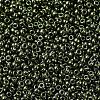 MIYUKI Round Rocailles Beads SEED-X0054-RR0459-3