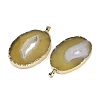 Natural Agate Big Pendants KK-F868-29G-04-2